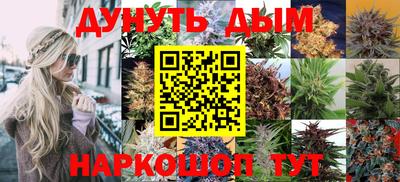 тгк Можга