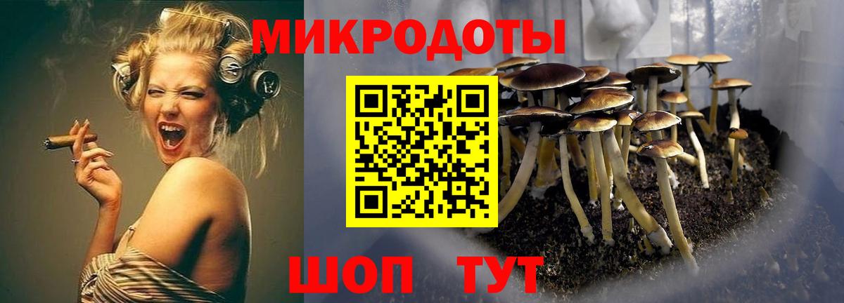 Воронеж  Галлюциногенные грибы Magic Shrooms  Псилоцибиновые грибы ЛСД  Вход с VPN 